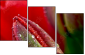 15487800