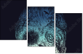 164648563