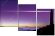 16699558