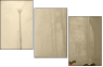 1950742