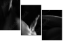 20350082