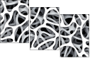 20505205