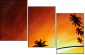 20708520