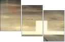 21155951