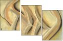 21450824
