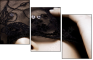 21991281