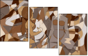 223892600