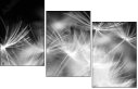 23180311