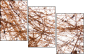 23639472