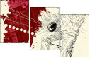 23706243