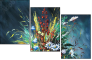 24170906