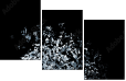 24792295