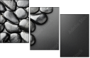 25876138