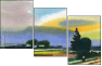 25941666