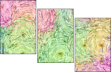 269624780