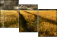 27477176