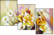 27880499