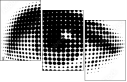 29211462