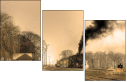 29517510