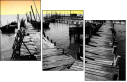 29692961
