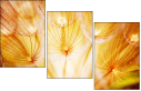 30258126