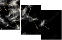 30521892