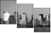30642082