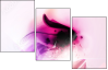 31395557