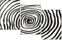 324703304