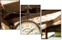 33620946