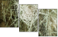 35814407