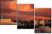 37617124
