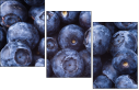 38114663