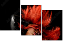 38661910