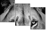 39012933