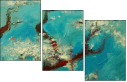 39414869
