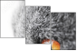41365560