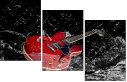 41997356