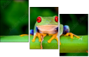 42467641