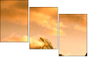 42979292