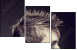 43317658