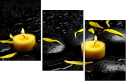43880281