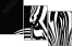 44412640