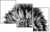 44646006