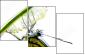 44679167
