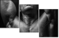 45026445