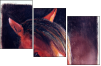 46243808