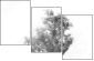 47020348