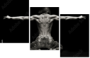 47804605