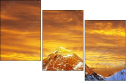 48905885